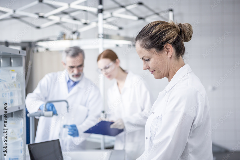 Scientists working in lab Scientists working in lab