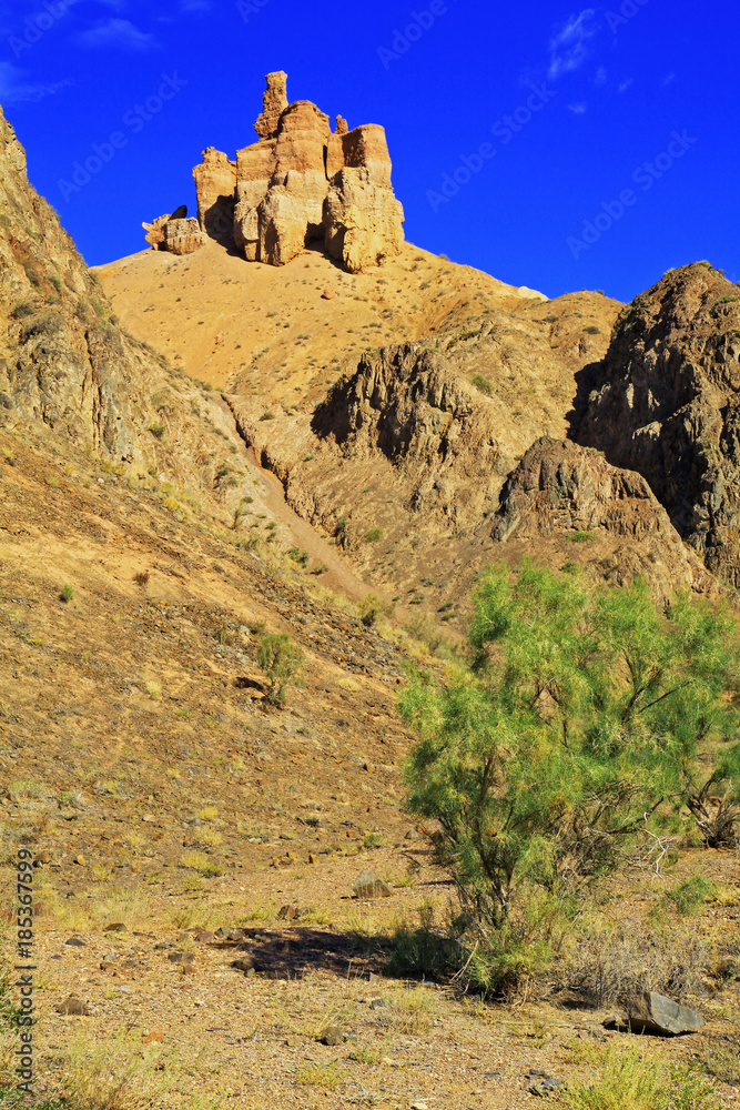 Fototapeta premium Kazakhstan. Fantastic forms of the Charyn canyon in the early morning
