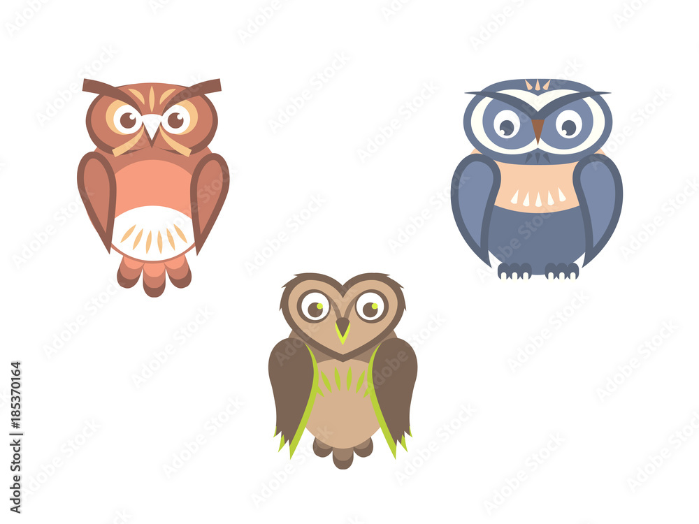 Vectorset of owl birds flat illustration Vectorset of owl birds flat illustration