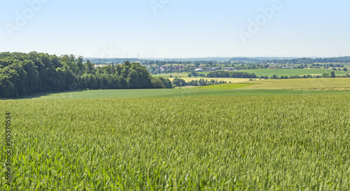 rural scenery in Hohenlohe