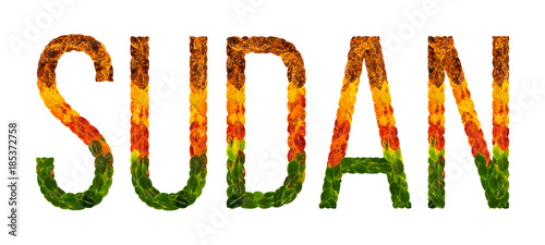 word sudan country is written with leaves on a white insulated background, a banner for printing, a creative developing country colored leaves sudan photo