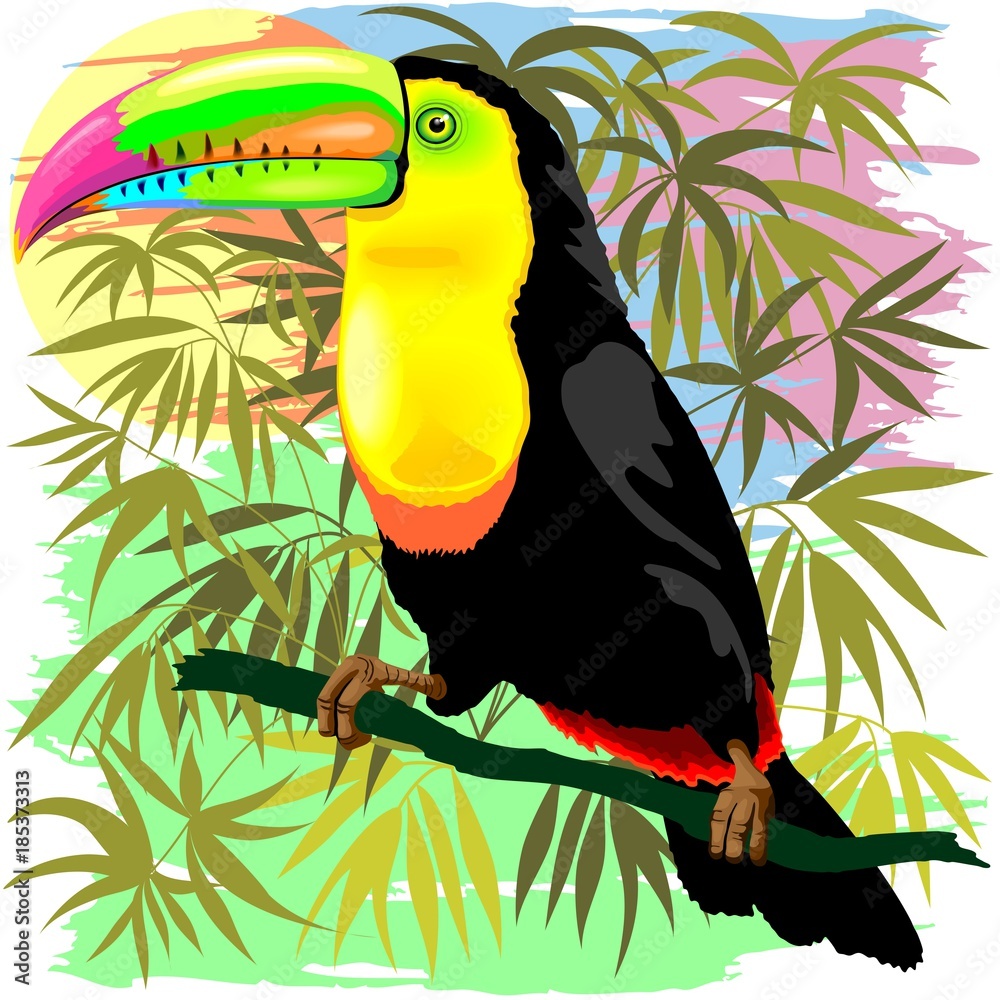 Toucan Wild Bird from Amazon Rainforest Stock Vector | Adobe Stock