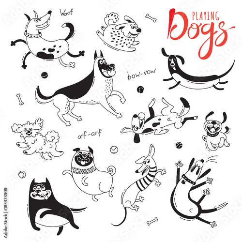 Playing dogs. Funny lap-dog, happy pug, mongrels and other breeds. Set of isolated vector drawings for design