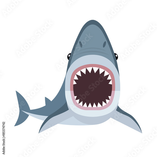 Vector illustration of shark with open mouth full of sharp teeth, isolated on a white background. Shark attacks.