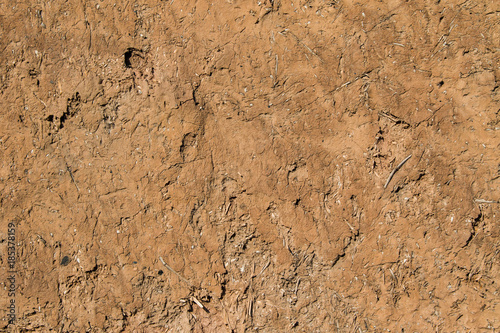 Earthen Wall