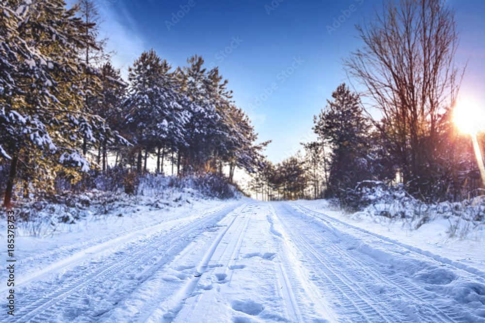 Fototapeta premium road of winter time and free space 