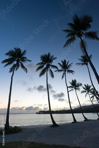 Tropischer Strand am frühen Morgen