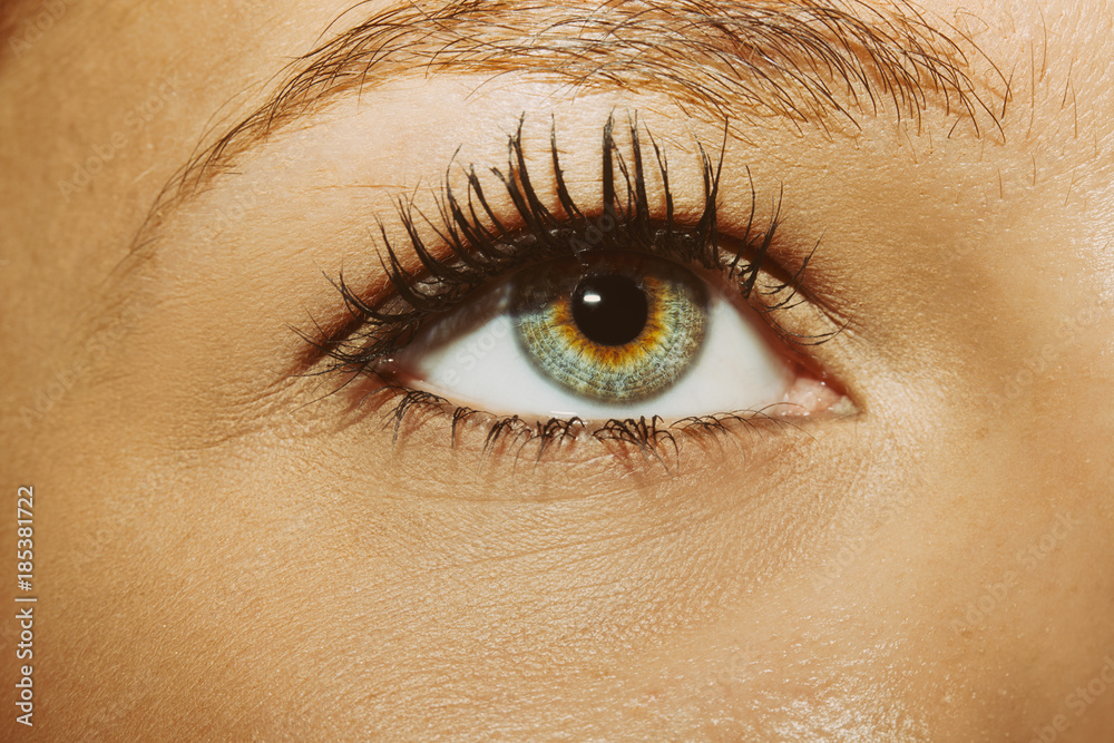 Fototapeta premium A beautiful insightful look woman's eye. 
