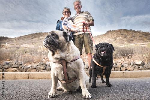 Photography seniors who spend time with their domestic dogs