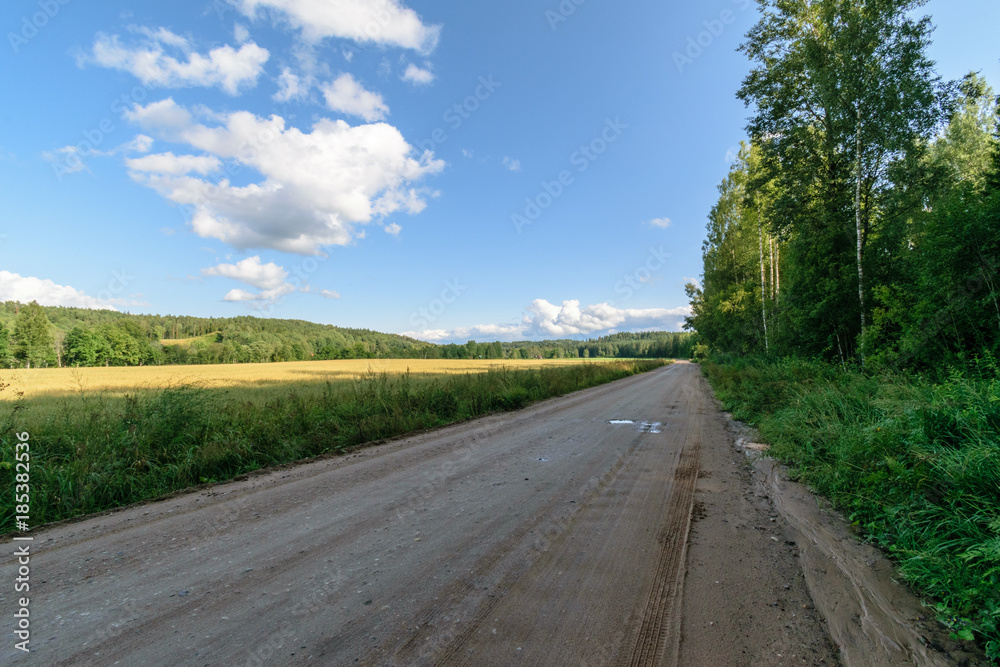 Fototapeta premium countryside road in summer