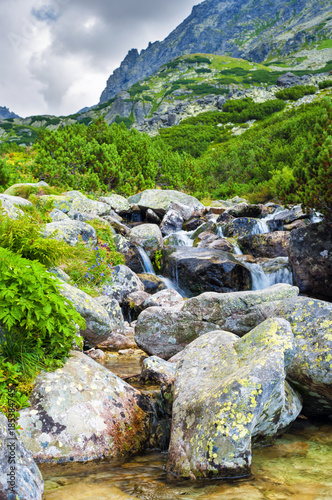 Mountain stream in High Tatras National Park, Slovakia