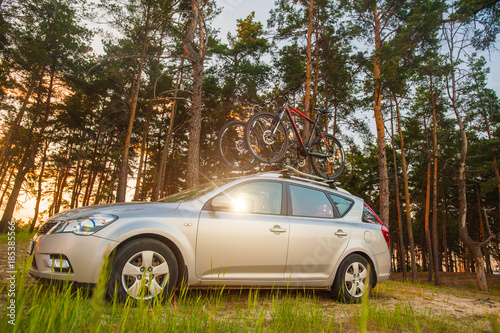 Family car is transporting bicycles on rack. Bikes on the trunk. Summer vacation. Forest road travel friends © vitleo