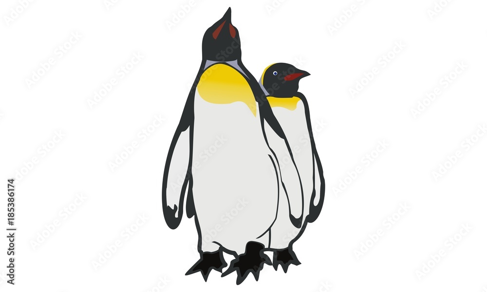 Naklejka premium vector image penguins