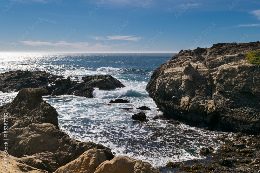 Point Lobos State Natural Reserve, Big Sur, Carmel Highlands, Monterey County, California, USA