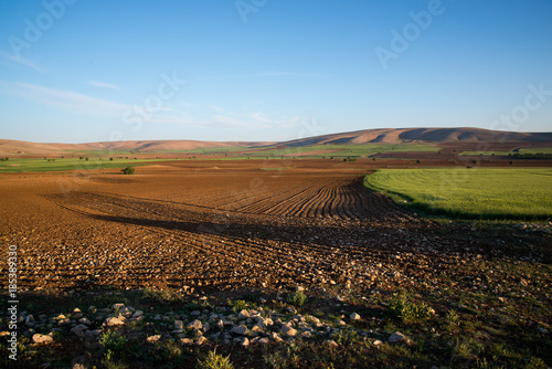 Turkey, Central Anatolian non-irrigated landscape 