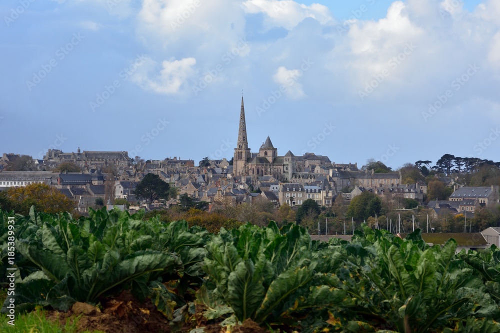 La cathédrale Saint-Tugdual de Tréguier vue depuis les hauteurs de la campagne bretonne du Trégor