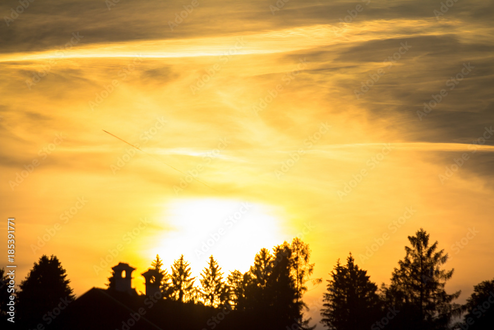 Obraz premium Golden sunset over trees