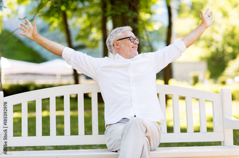 Fototapeta premium happy senior man sitting on bench at summer park