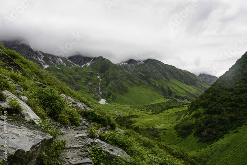 Green land scape and green hills in valley of flower, Himachal Pradesh, India