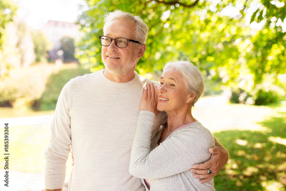 Fototapeta premium happy senior couple hugging at summer park