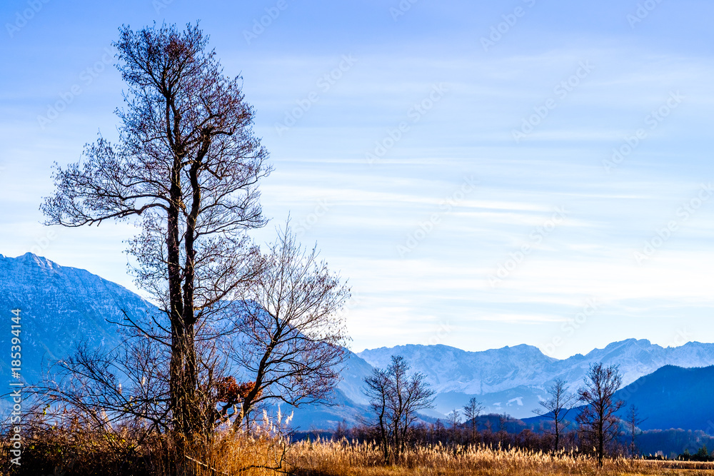 landscape murnauer moos - bavaria landscape murnauer moos - bavaria