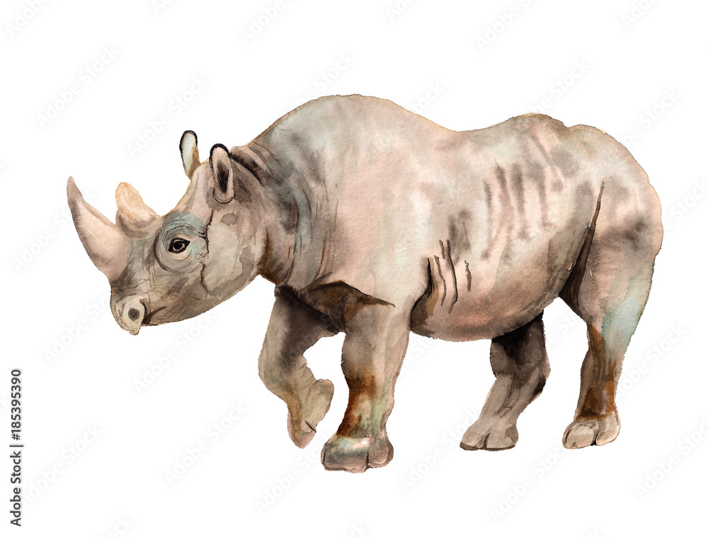 Watercolor image of rhino