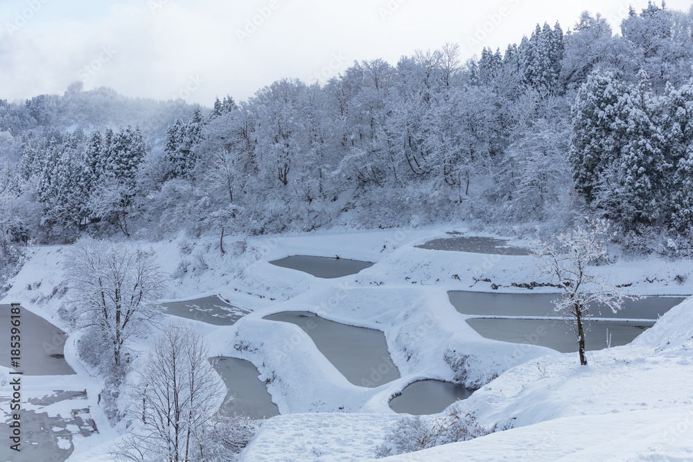 新潟県 蒲生の棚田 雪景色