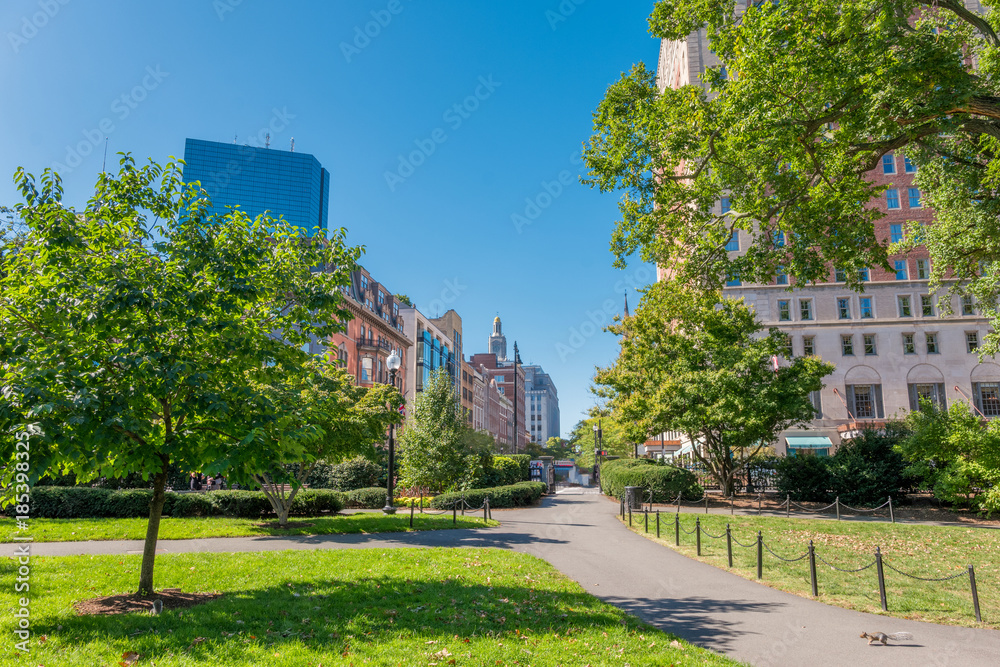 Boston USA Public Garden, Common Frog Pond and city skyline. Boston USA Public Garden, Common Frog Pond and city skyline.