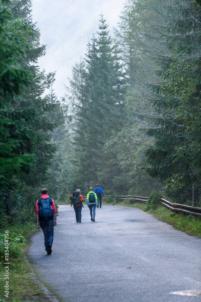 misty morning view in wet mountain area in slovakian tatra. tourists hiking on the road