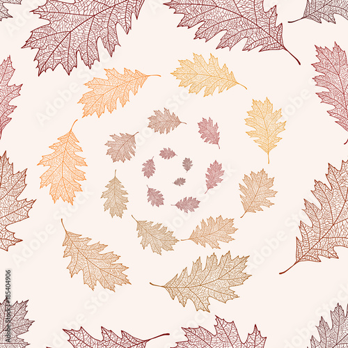 Seamless pattern from the leaves of red oak arranged in a helix (Quercus rubra)