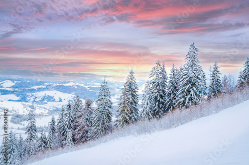 Beautiful winter sunset landscape with snow on the trees