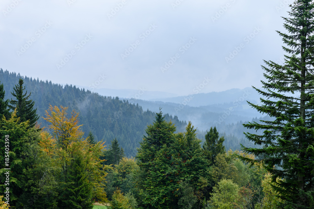 misty morning view in wet mountain area in slovakian tatra