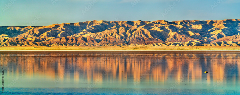 Fototapeta premium Chott el Djerid, a dry lake in Tunisia