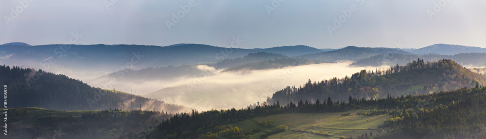 Spring mountain panorama. Foggy forest on hills