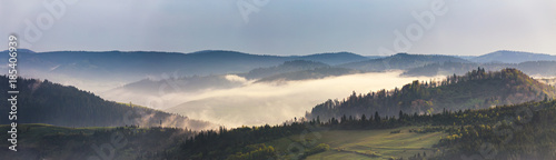 Spring mountain panorama. Foggy forest on hills © NemanTraveler