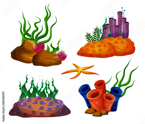 Underwater ocean reefs or aquarium corals