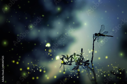 Fototapeta Naklejka Na Ścianę i Meble -  Abstract and magical image of dragonfly silhouette and Firefly flying in the night forest. Fairy tale concept