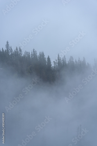 misty morning view in wet mountain area in slovakian tatra. autumn colored forests