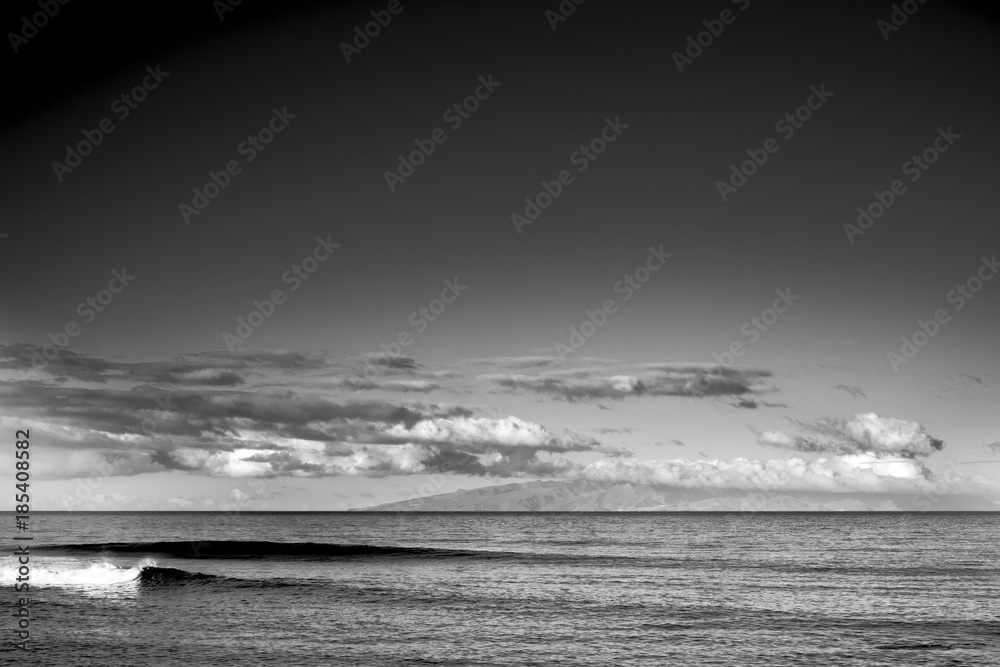 Fototapeta premium Tenerife beach landscape