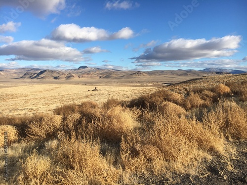 Fototapeta Naklejka Na Ścianę i Meble -  american desert landscape