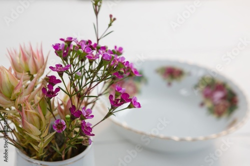 Fototapeta Naklejka Na Ścianę i Meble -  Flower with modern bowl