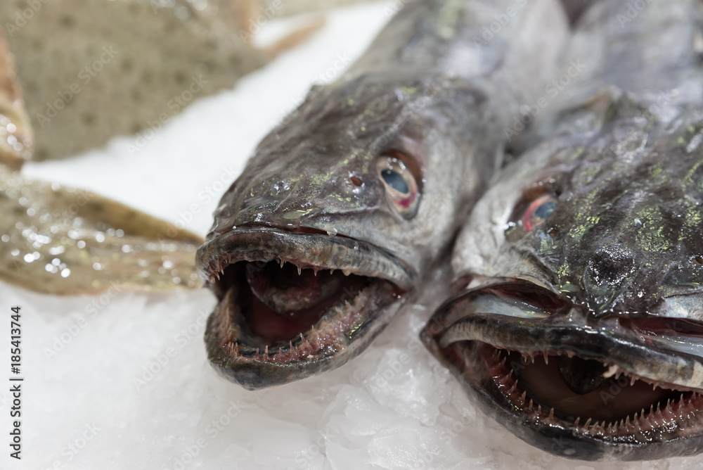 Of the market sea fish Of the market sea fish