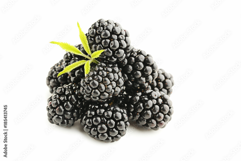 Ripe blackberries isolated on white background Ripe blackberries isolated on white background