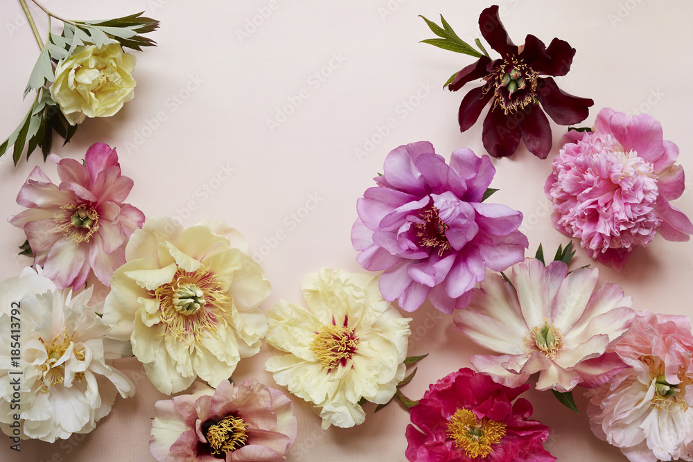 Still Life Composition with a variety of peonies