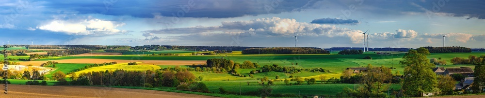 Colorful fields in belgian countryside panoramic view with windmill on horizon