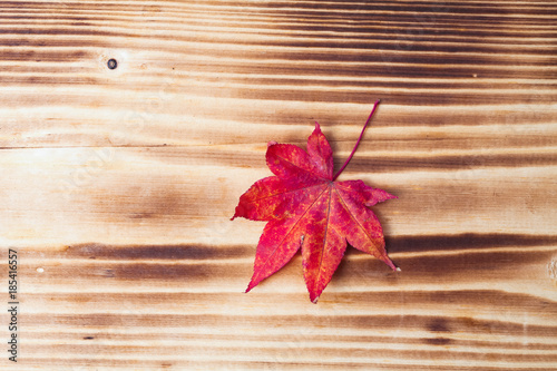 Maple leaf on the wood background 