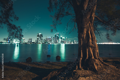 Night Downtown Miami
