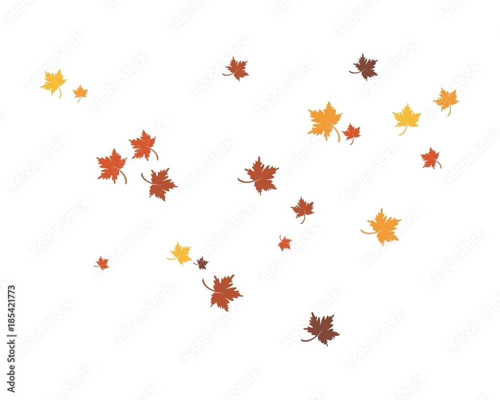 autumn Leaf  vector ilustration