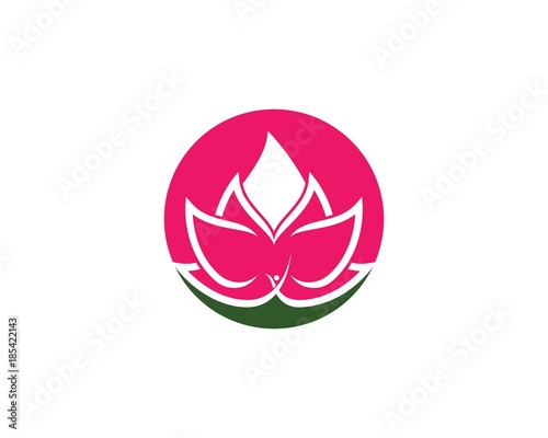 Beauty Lotus flowers Vector  design
