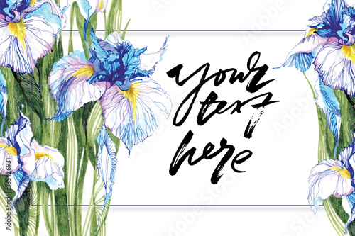 Hand drawn artistic background with copy space. Botanical motif by hand. Marker drawn blue iris flowers for backgrounds, greeting cards, placards, posters and banners. Vector illustration.